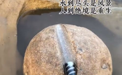 娱乐吃瓜酱铁杵磨成针,娱乐吃瓜酱的蜕变之路
