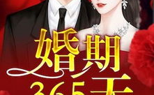 婚期365天免费阅读,豪门爱恋的365天历程