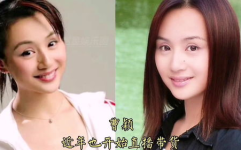 娱乐圈吃瓜小姐,揭秘“吃瓜小姐”背后的故事
