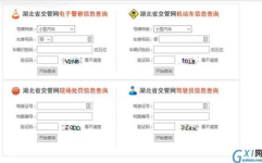 电子眼查询,实时掌握交通违法信息，守护行车安全