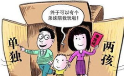 江苏省二胎政策,解读与实施要点