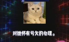 娱乐吃瓜 八卦小说,揭秘明星背后的八卦秘闻