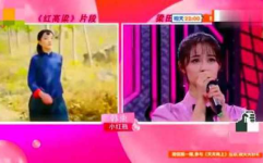 娱乐节目 特效音,揭秘娱乐节目背后的特效音魅力