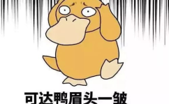 吃瓜娱乐小鲤鱼,揭秘娱乐圈幕后故事