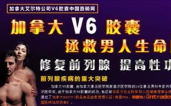 加拿大v6胶囊,天然保健品，全面提升健康水平
