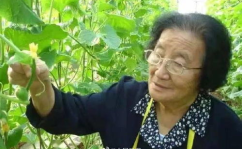娱乐吃瓜酱人多的地铁,娱乐吃瓜酱成热门话题