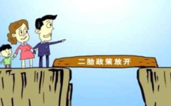 江苏省二胎政策,解读与实施要点