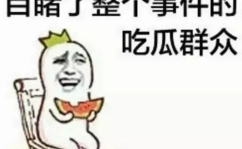 聊娱乐的吃瓜群众能力,吃瓜群众如何成为幕后推手