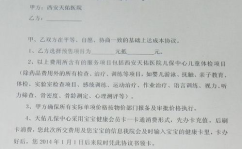 合同书怎么写,规范文本与关键要素解析