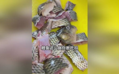 吃瓜娱乐小鲤鱼,揭秘娱乐圈幕后故事