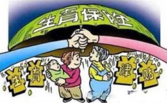 江苏省二胎政策,解读与实施要点