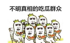 聊娱乐的吃瓜群众能力,吃瓜群众如何成为幕后推手