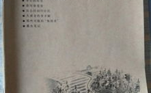 杂文月刊,汇聚思想火花，展现时代风貌