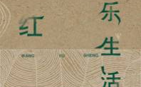 网红的娱乐生活txt下载,TXT下载背后的精彩瞬间