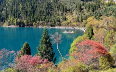 九寨沟在四川哪里,四川阿坝的天然画卷