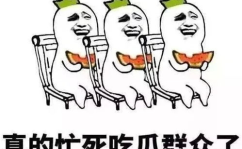 娱乐吃瓜酱智力退化,揭秘网络时代下的认知危机