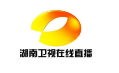 在线直播电视台,新时代媒体传播的多元化平台