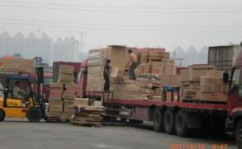 郑州市物流公司,企业实力雄厚，服务网络遍布全国——郑州物流企业风采掠影
