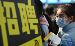西安人才网招聘官网2023,千岗待选，职途启航”