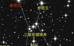 是什么星座,勇敢冲动的火焰之魂