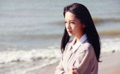 娱乐小说女主是刘涛,娱乐小说中的璀璨女主角
