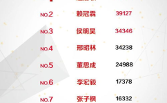 明星排名人气榜投票,风云变幻，谁将问鼎巅峰？